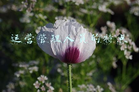 中层管理人员的特点(如何做一位优秀的中层管理者？)