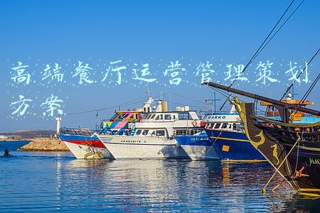 高端餐厅运营管理策划方案
