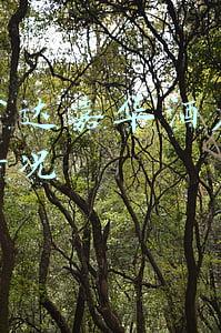 淮安万达嘉华酒店运营管理情况