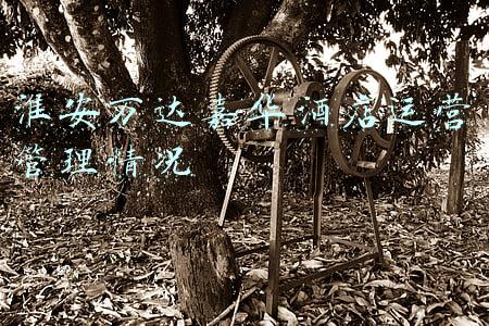 淮安万达嘉华酒店(寻味淮扬 弘扬国宴 24城淮扬菜传承之旅启动)