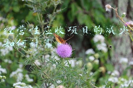 许可项目经营性演出；营业性演出许可