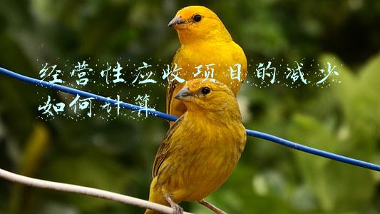 演出经营许可证怎么办理_经营性演出许可证
