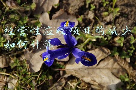 经营性贷款;经营性贷款需要什么条件