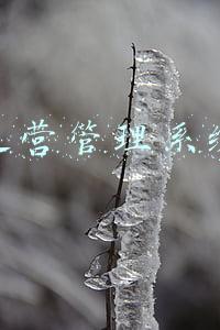 简单的生产管理系统(2022年企业降本增效，你就用精益生产的10个管理工具)