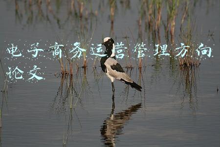 电子商务运营管理方向论文