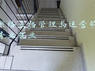 网络直播管理与运营的专业就业