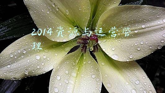 资源运营与管理期末答案(细览25家券商2021成绩单：中信证券夺魁，四家券商业绩滑坡)