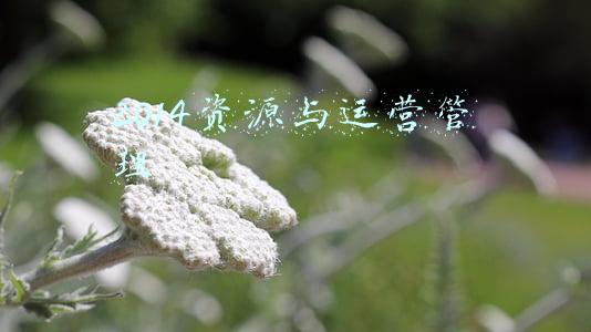 2014资源与运营管理