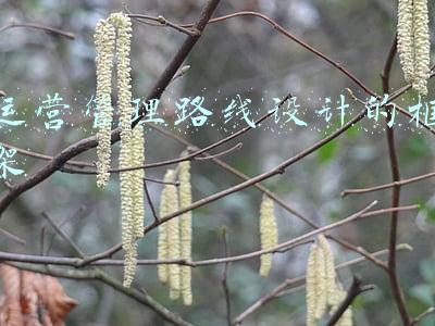 运营管理的基本框架(如何快速搭建运营体系，具备运营思维？)