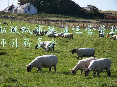 助理城市轨道运营管理师月薪多少