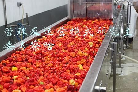 管理及运营模式研究主要考察啥