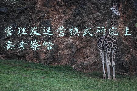 管理及运营模式研究主要考察啥