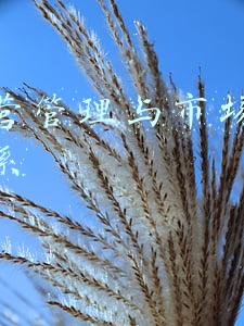 什么是市场运营管理(智慧农贸发展提速，农贸市场运营管理如何做好？)