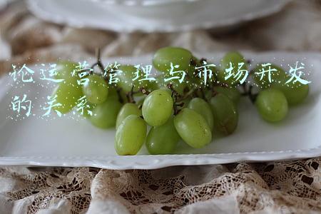 论运营管理与市场开发的关系