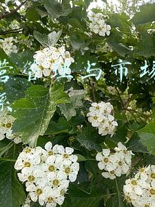 深入市场开发(大型建筑企业如何做好市场开发？)