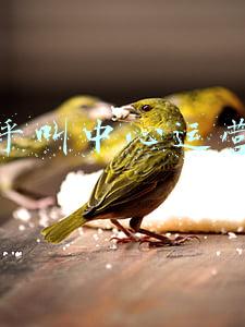 企业呼叫中心运营管理