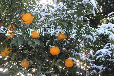 企业呼叫中心运营管理