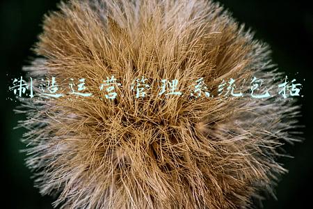 制造运营管理系统包括