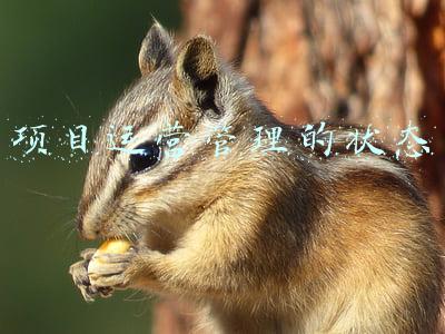 项目状态有哪几种(项目进度管理)