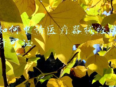 二类医疗器械许可证；二类医疗器械生产许可证怎么办理