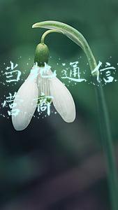 如何向当地通信管理局投诉运营商
