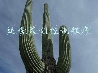 运营策划控制程序