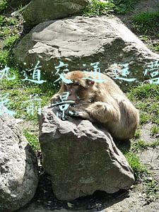 轨道交通运营管理发展趋势(上海：进一步提升轨道交通运营安全管理水平)