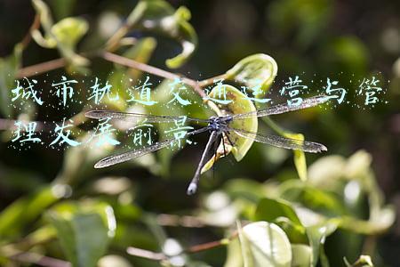 城市轨道交通运营管理现状(运送乘客237.1亿人次，新增运营里程1168公里…2021年城市轨道交通运营成绩单)