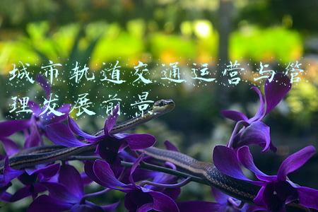城市轨道交通运营与管理发展前景