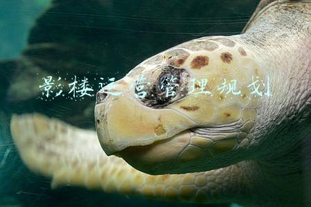 影楼管理方案(儿童影楼客户少利润低？解决方案来了！丨影楼管理软件)