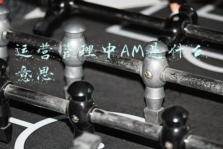 运营管理中AM是什么意思