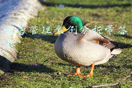 运营管理案例分析带答案