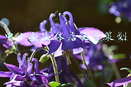 实体店铺运营管理方案(「干货分享」实体门店个微私域运营实操手册)