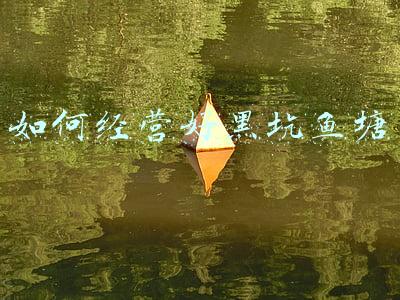 钓鱼黑坑怎么经营；开黑坑钓鱼怎样经营