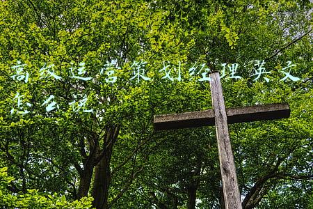 高级运营经理英文(大裁员开启，有部门一人不留？作业帮：传闻不实)