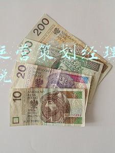 高级运营策划经理英文怎么说