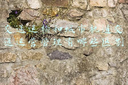 城市轨道交通运输(2021年度城轨交通行业十件大事)