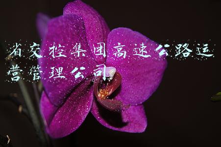 省交控集团高速公路运营管理公司