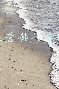 车辆运营部门管理制度