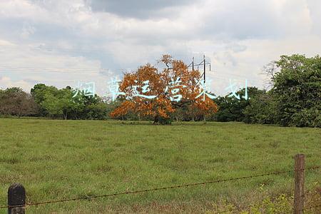 烟草市场营销(办实事，办到群众心里去——吉林烟草工业有限责任公司市场营销中心党总支坚持不懈为群众办实事做好事)
