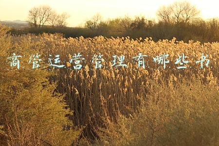 经营管理类书籍(那些不甘平庸的管理者，都在读这10本书)