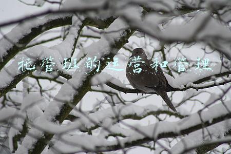 托管班管理制度(托管班如何进行管理？看看响丁当的管理制度！)