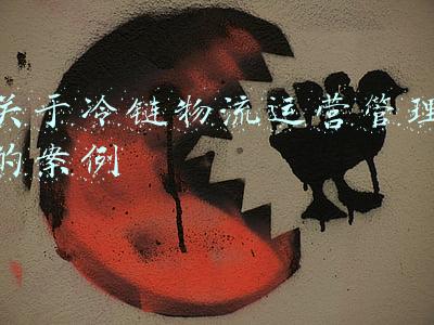 关于冷链物流公司的营销策略分析(天翔冷链《精益销售+业绩对赌》咨询项目启动大会)