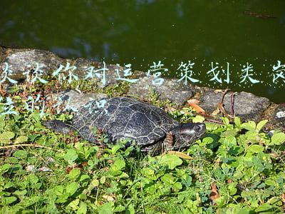 谈谈对工作岗位的认识(正确认知基层岗位工作)