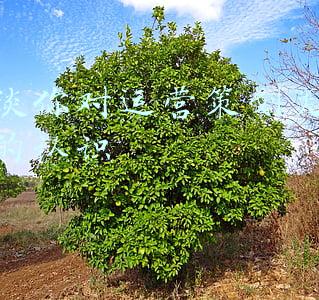谈谈对自己岗位的认识(个人的职场总结)