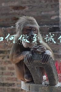 企业如何做到诚信经营 企业如何做到诚信经营