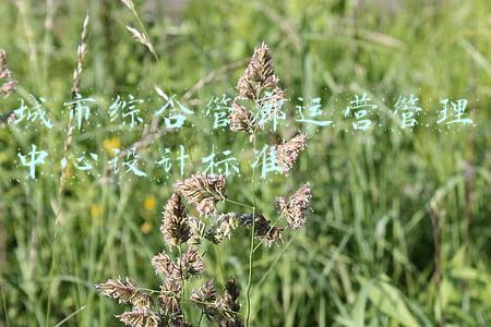 城市综合管廊运营管理中心设计标准