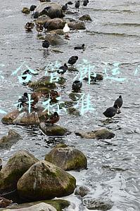 城市综合管廊运营管理中心设计标准