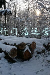 汽车租赁业务与管理(北京市贯彻《小微型客车租赁经营服务管理办法》的实施意见)