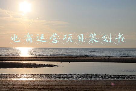 电商创业项目策划书(256品牌电商营销策划方案（51份）)
